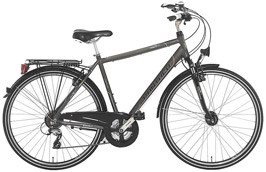 panther-trekkingrad-21-gang